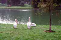 London. Great Britain.