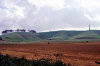 White Horse. Great Britain.
