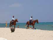 Hammamet town. Tunisia .