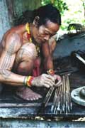 Poison arrows making. Siberut island. Sumatra, Indonesia.