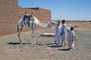 Camel market at the outskirts of Lybia market. Khartoum (Omdurman). Sudan.