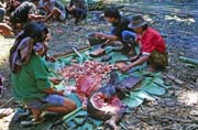 At funeral ceremony. Preparing food for guests. Tana Toraj area. Sulawesi, Indonesia.