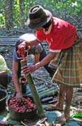 At funeral ceremony. Preparing food for guests. Tana Toraj area. Sulawesi, Indonesia.