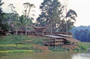 Funeral preparing - building bamboo pavilons for guests. Tana Toraja area. Sulawesi, Indonesia.