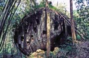Now graves are made at hills. Tana Toraja area. Sulawesi,  Indonesia.