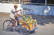 Coconut seller at Ujung Pandang town. Sulawesi, Indonesia.