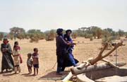 Well at the edge of an oasis. Sahara desert. Mali.
