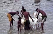 Cleanup at Niger river, S�gou city. Mali.