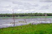 Yellow Water river. Kakadu National park. Australia.