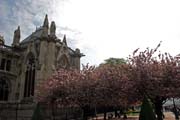 Notre Dame cathedral, Ile de la Cit�, Paris. France.