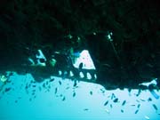 Diving around Togian islands, Kadidiri, plane wreck B24 from the 2nd World War sunken on Mai 3rd, 1945. Sulawesi, Indonesia.