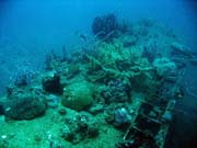 Diving around Togian islands, Kadidiri, plane wreck B24 from the 2nd World War sunken on Mai 3rd, 1945. Sulawesi, Indonesia.