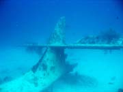 Diving around Biak islands, Catalina wreck dive site. Papua, Indonesia.