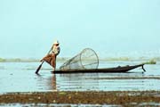 Traditional fishing, Inle Lake. Myanmar (Burma).