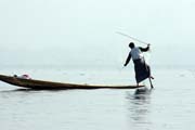 Traditional fishing, Inle Lake. Myanmar (Burma).