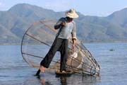 Traditional fishing, Inle Lake. Myanmar (Burma).