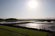 Rice fields around Inle Lake. Myanmar (Burma).