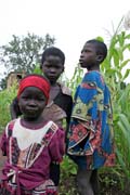 Children from Somba tribe (also called Betamarib� people). Boukoumb� area. Benin.