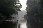 Lobe River. Cameroon.