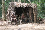 Pygmy village down to the Lobe River. The Pygmy people are forest dwellers, know the forest, its plants and its animals. They live by hunting animals such as antelopes, pigs and monkeys, fishing, and gathering honey, wild yams, berries and other plants. Cameroon.