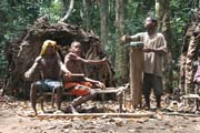 Traditional dance at Pygmy village down to the Lobe River. Cameroon.