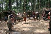 Traditional dance at Pygmy village down to the Lobe River. Cameroon.