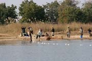 Fishermen. Lake Chad area. Cameroon.