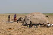Women and camp of the Bororo nomad ethnic. Lake Chad area. Cameroon.