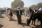 Market at the bank of Chari River. Many ethnic from local area make business here (including nomad tribes). Lake Chad area. Cameroon.