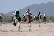 Camel race at traditional tuareg wedding party. Air Mountain area. Niger.