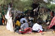 Men from nomadic Wodaab� tribe (also called Bororo) prepare themselves for Yaake dance. Gerewol festival. Niger.