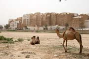 View at Shibam town called Manhattan of desert. Most of local houses are mudy-skyscrapers. Wadi Hadramawt area. Yemen.