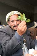 Snapshot from qat market at Sana city. Yemen.