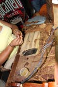Cigar making, Real Fabrica de Tabacos Partag�s, Central Havana (Centro Habana). Cuba.