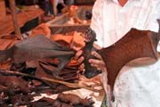 Bat (flying fox), market at Tomoho village. Sulawesi,  Indonesia.