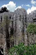 Grands Tsingy, Tsingy de Bemaraha National park. Madagascar.
