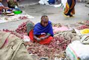 At the market at Dire Dawa. East, Ethiopia.
