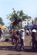 Morning market in Saigon. Vietnam.
