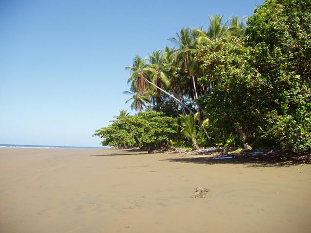 Beach Uvita. Costa Rica.