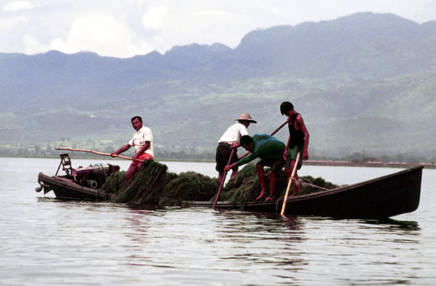Life at the Inle lake. Myanmar (Burma).