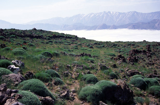 Around Mt Damavand mountain. Iran.