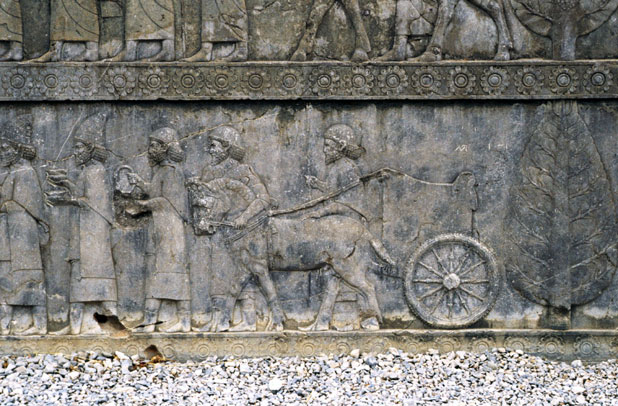 Reliefs at Persepolis. Iran.