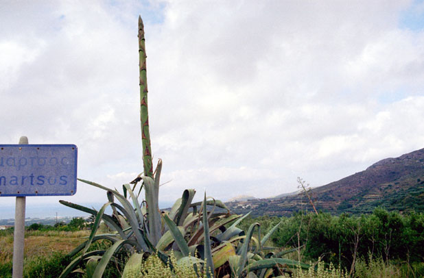 Coast. Crete. Greece.