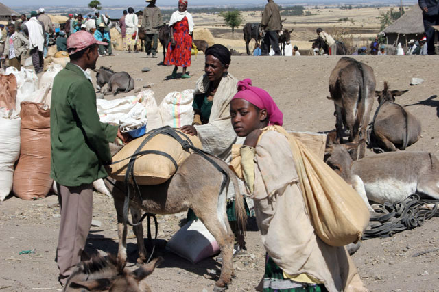 Market, south of Addis Abbeba. South,  Ethiopia.