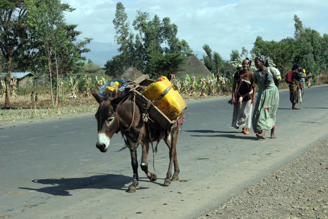 Village south of Addis Abbeba. South,  Ethiopia.