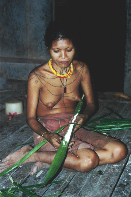 Sago drying. Siberut island. Sumatra,  Indonesia.