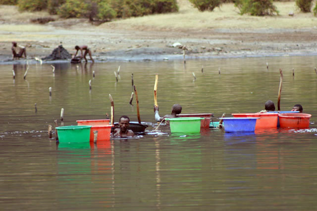 The salt is retrieving from the lake without any mechanization. Salt Lake, El Sod. South,  Ethiopia.