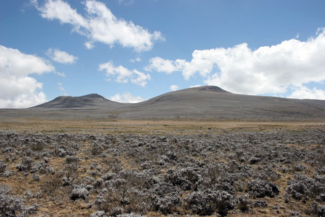 Bale Mountain National Park. South,  Ethiopia.