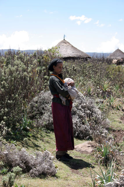 Bale Mountain National Park. South,  Ethiopia.