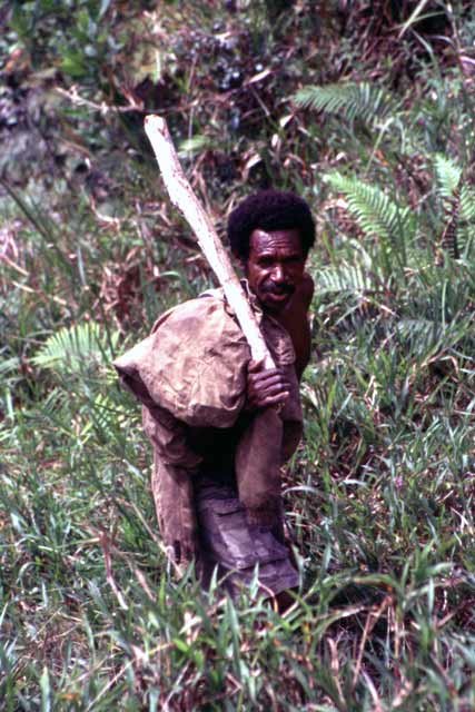Villager from Dani tribe. Papua,  Indonesia.